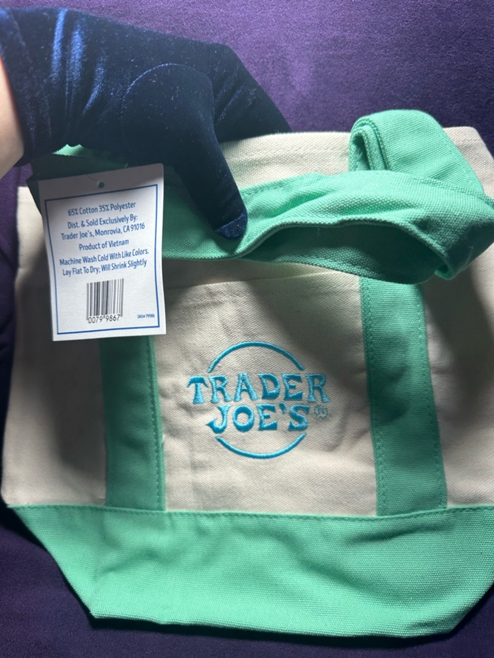 Trader Joe's Canvas Tote Bag in Mint Green and Cream
